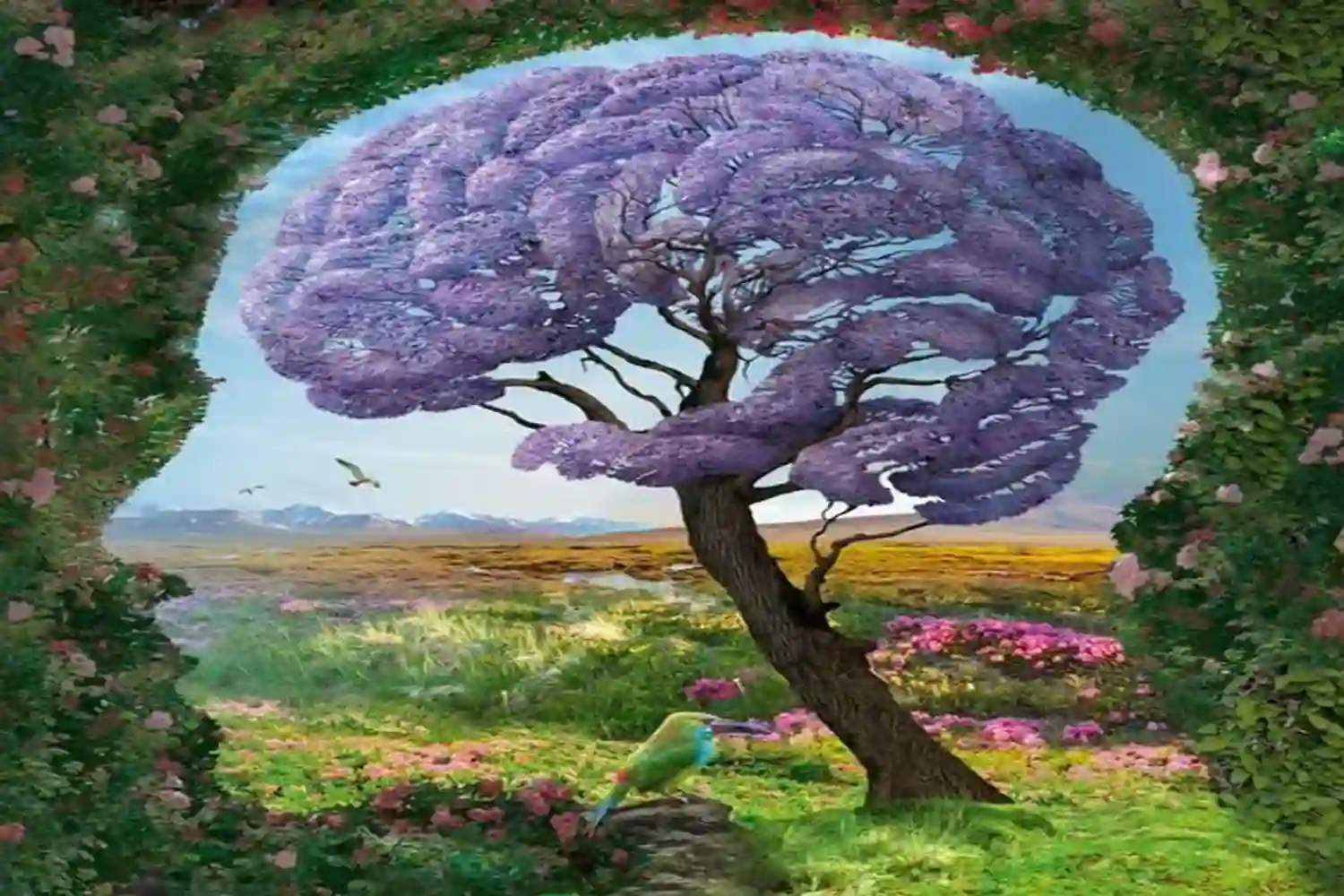 آثار طبیعت بر سلامتی 1 Effects of nature on health 1