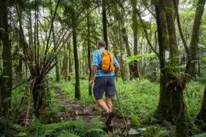 Effects of nature on health 3