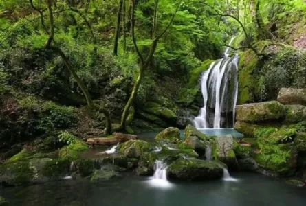 آبشار لوه گالیکش